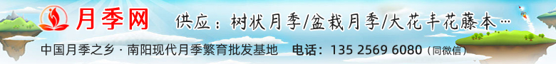 艾草网