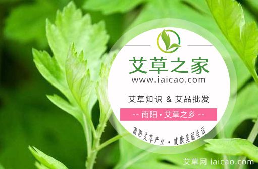 关于艾景艾草网(图1)
