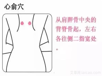 炎炎长夏，艾灸养心常用穴位