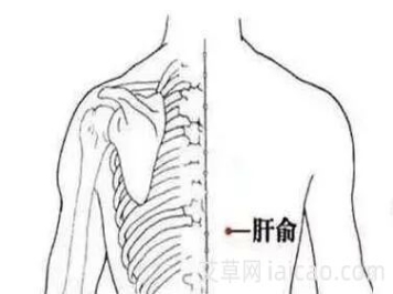 大寒前后的艾灸养生 大寒前后的艾灸养生